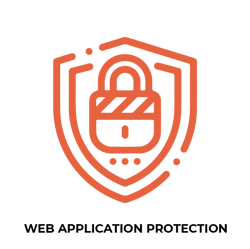 Web Application Protection